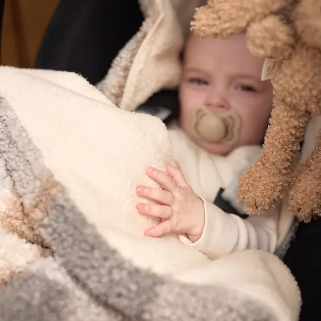 Voetenzak groep 0+ 3/5 punts Check Boucle