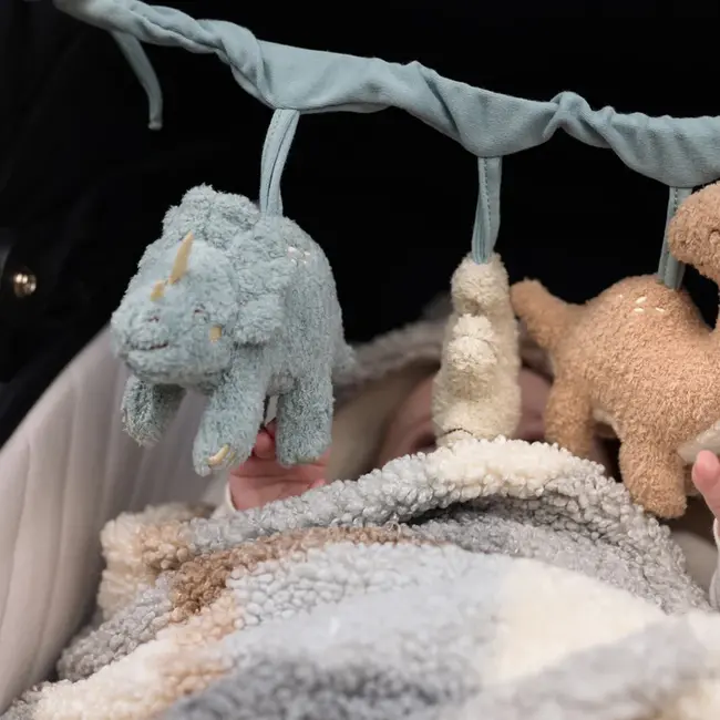 Wagenspanner Roarsome