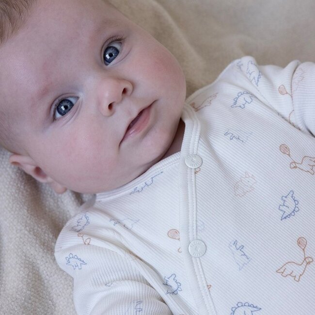 Boxpakje AOP Dino Offwhite