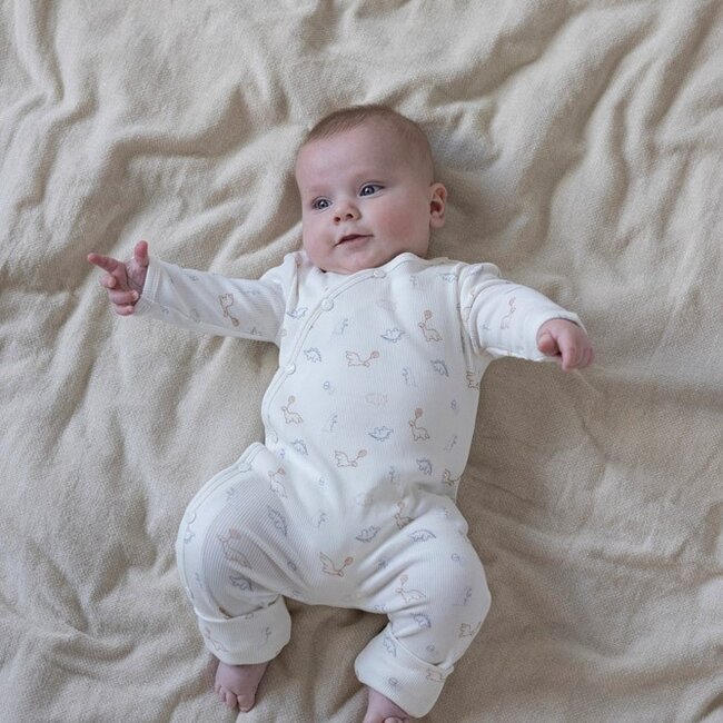 Boxpakje AOP Dino Offwhite