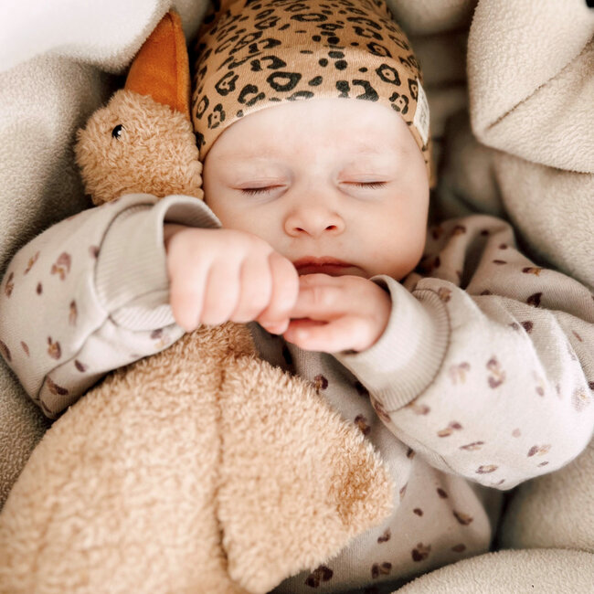 Hartslagknuffel Liva Bruin