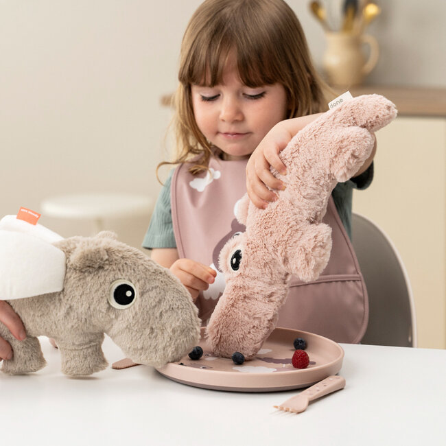 Bord Happy clouds Powder