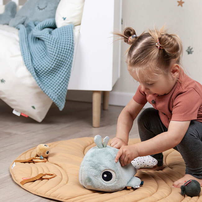 Hide & Seek Acitiviteiten Speeltje Wally Blue