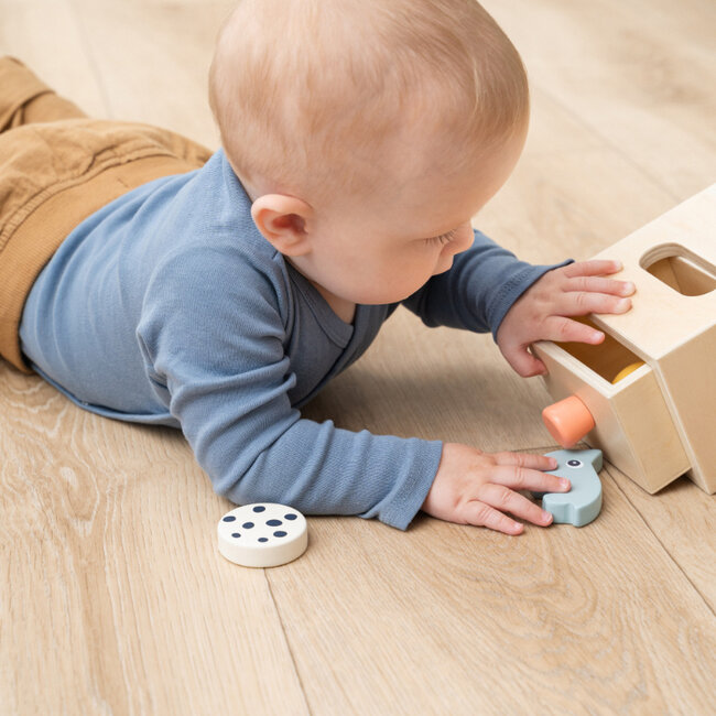 Hide & Find box Nozo