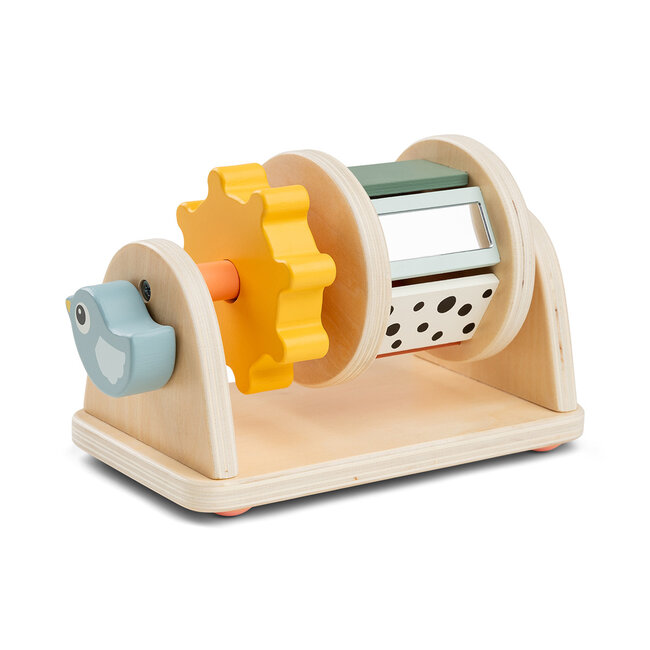 Spinner activity toy Birdee