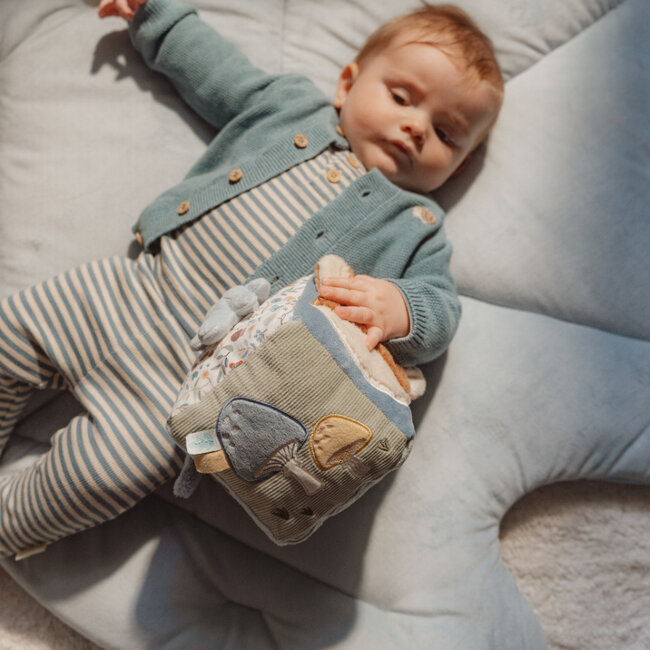 Zachte Activiteitenkubus Forest Friends