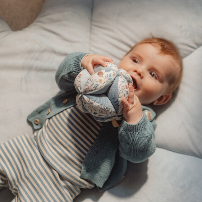 Grijpbal Forest Friends