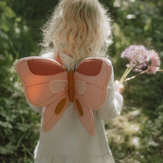 Feeënvleugels En Toverstaf