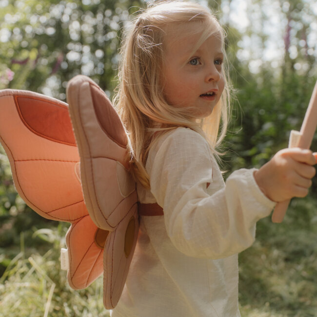 Feeënvleugels En Toverstaf