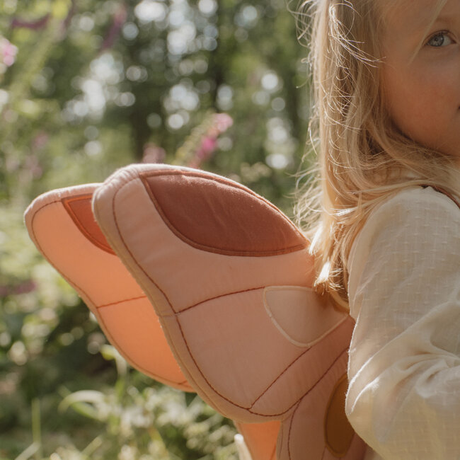 Feeënvleugels En Toverstaf