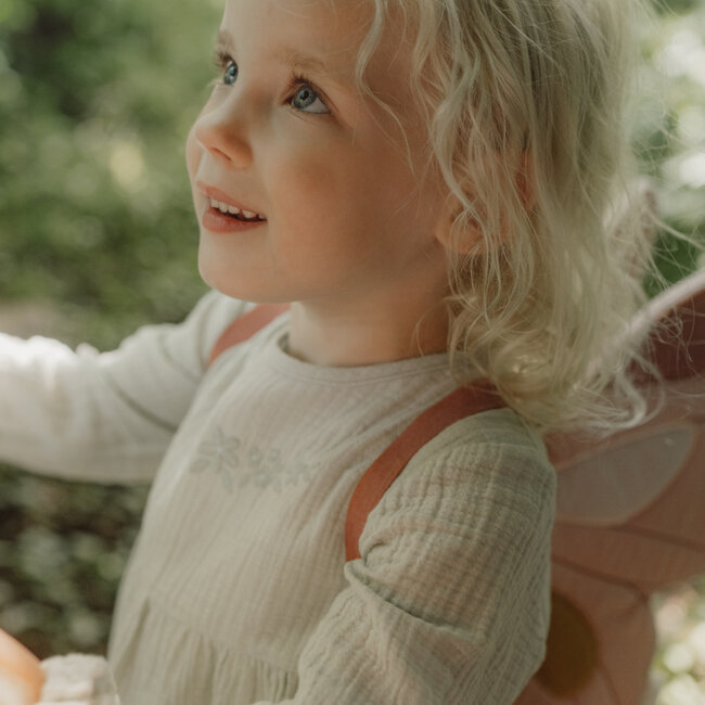 Feeënvleugels En Toverstaf