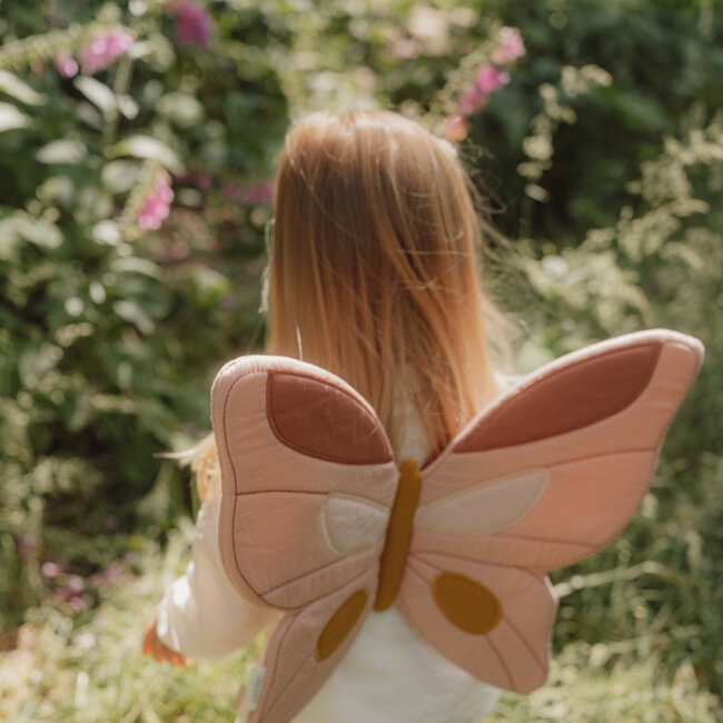 Feeënvleugels En Toverstaf