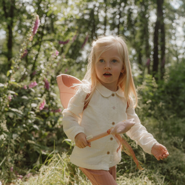 Feeënvleugels En Toverstaf