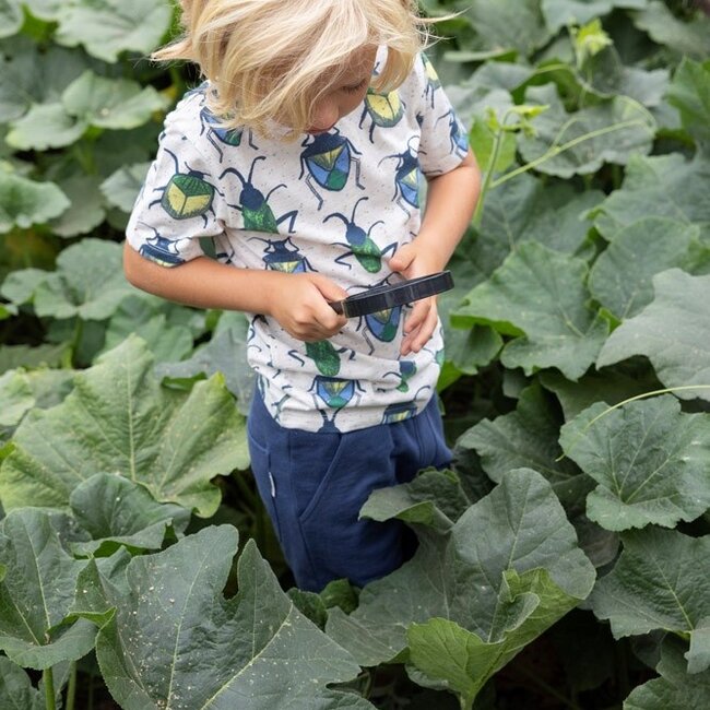 Sweat Short Explore More Indigo