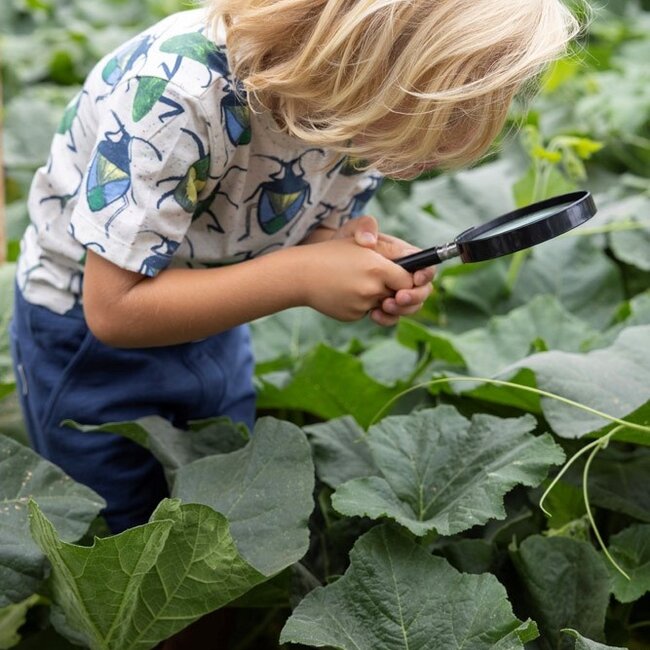 Sweat Short Explore More Indigo