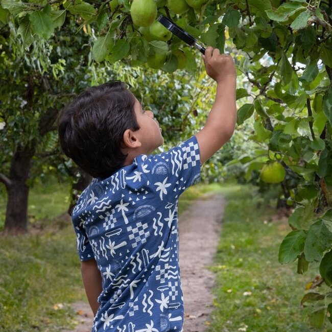 Short Explore More Offwhite Melange