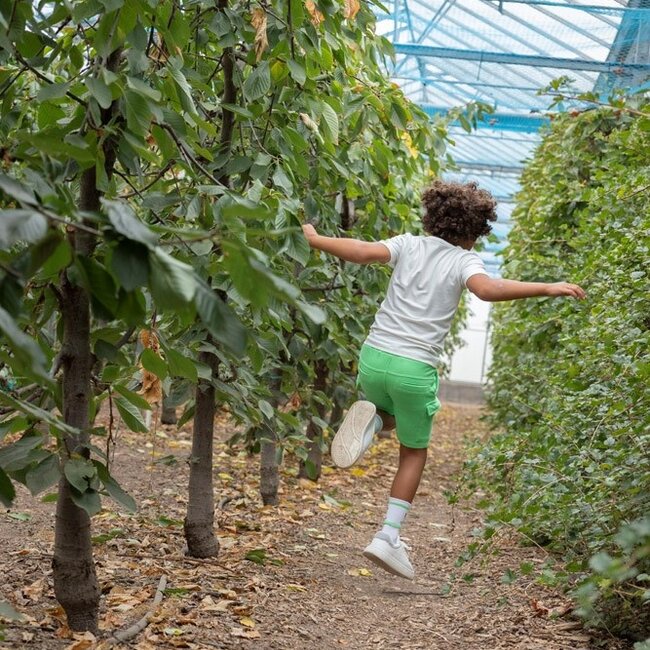 T-Shirt Explore More Wit