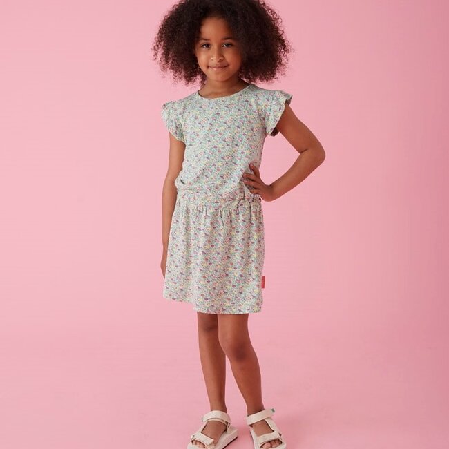 Jurk Aop Picknick Perfect Groen