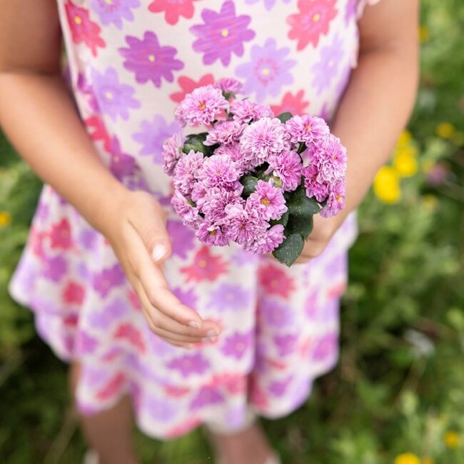 Jurk Aop Picknick Perfect Koraal