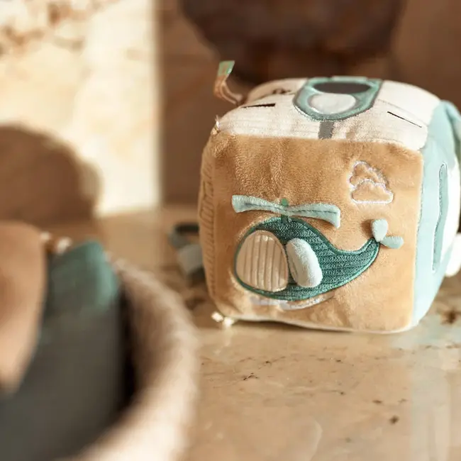 Activiteitenkubus On The Go