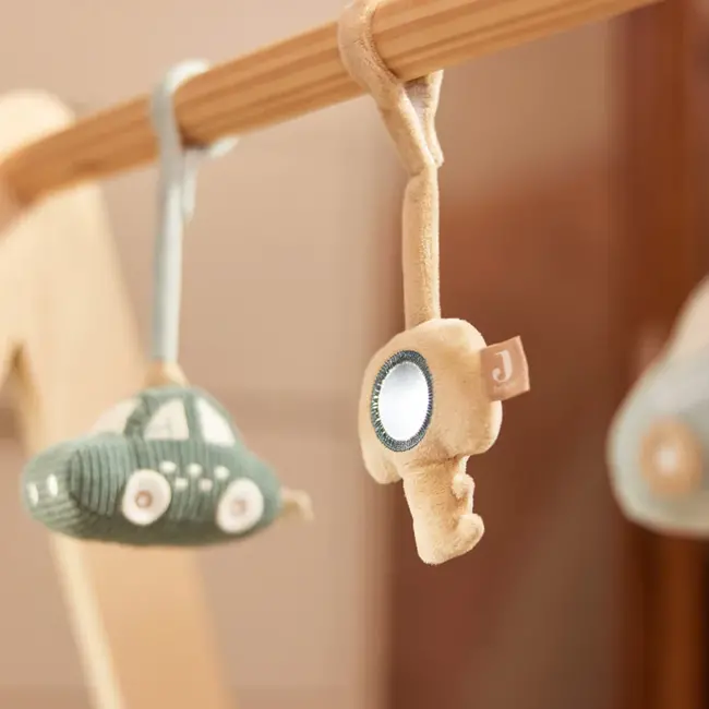 Babygym Speeltjes On The Go