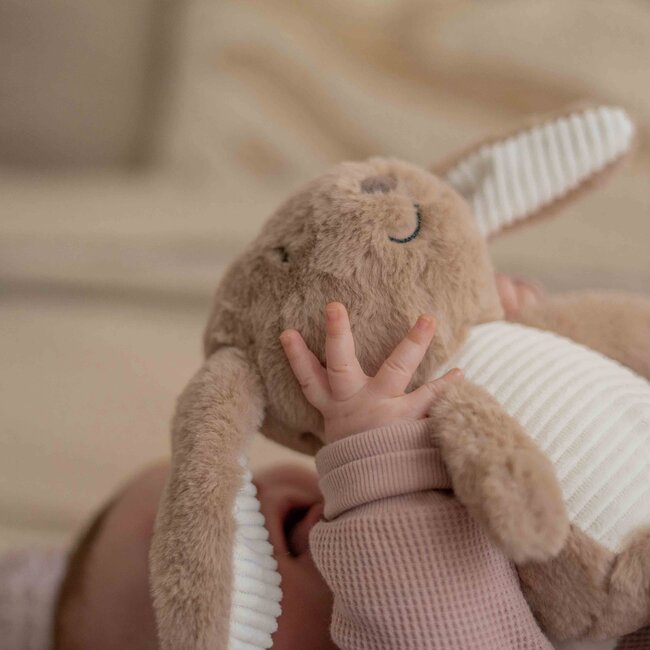 Hartslagknuffel Milo Brown