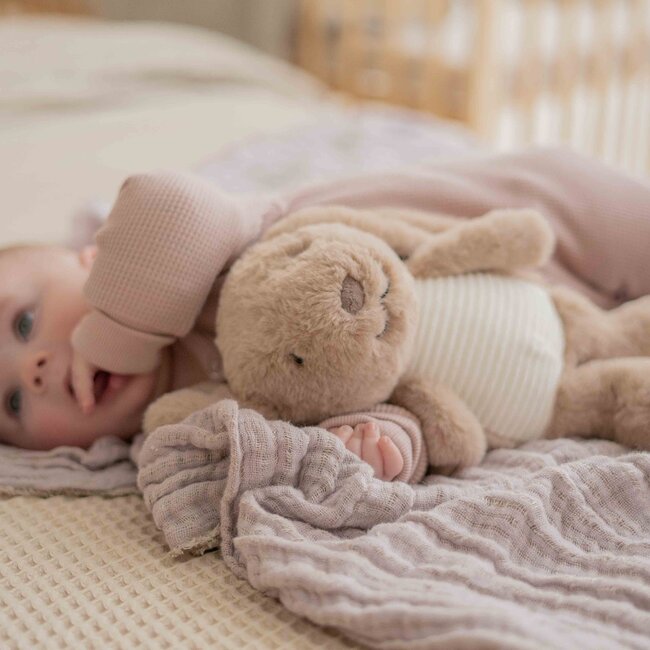 Hartslagknuffel Milo Brown