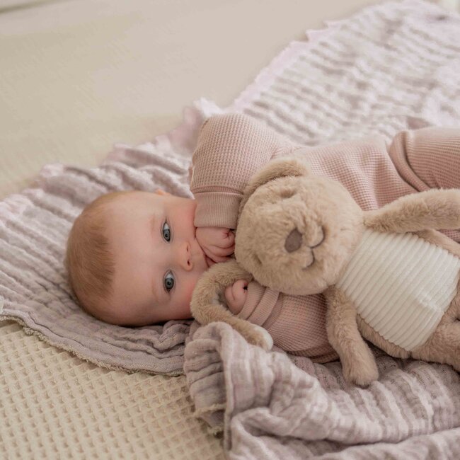 Hartslagknuffel Milo Brown