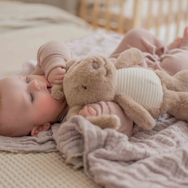 Hartslagknuffel Milo Brown