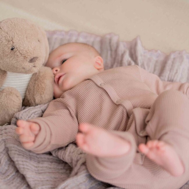 Hartslagknuffel Milo Brown