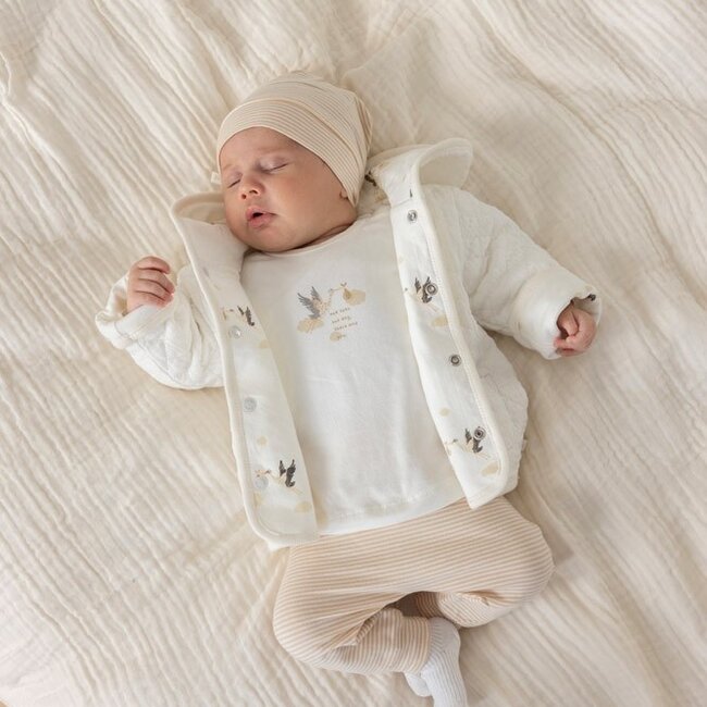 Mutsje Streep Special Delivery Zand