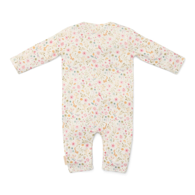 Boxpakje Fairy Garden