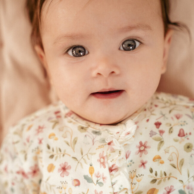 Boxpakje Fairy Garden