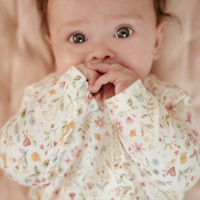 Boxpakje Fairy Garden