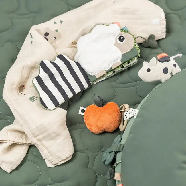 Sensorisch babyboekje Tiny farm