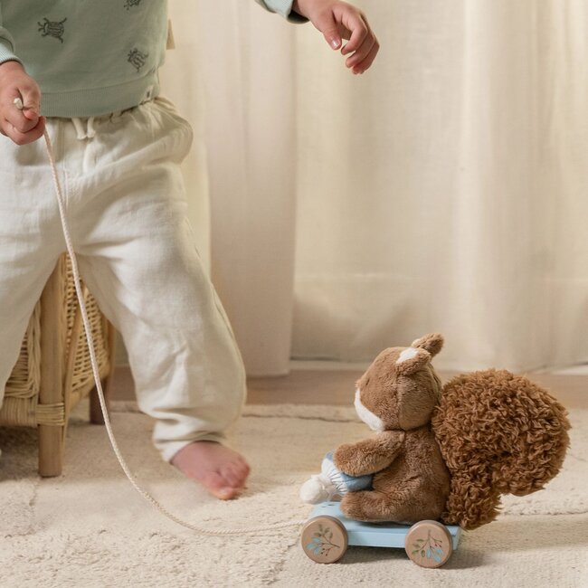 Trekdier Eekhoorn Forest Friends