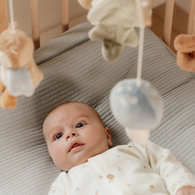 Houten Muziekmobiel Forest Friends