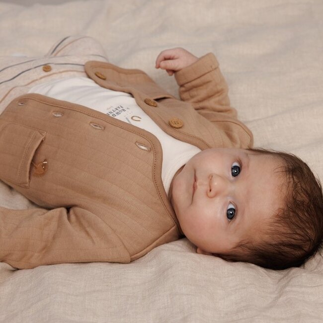 Broek Streep Howdy Taupe Melange