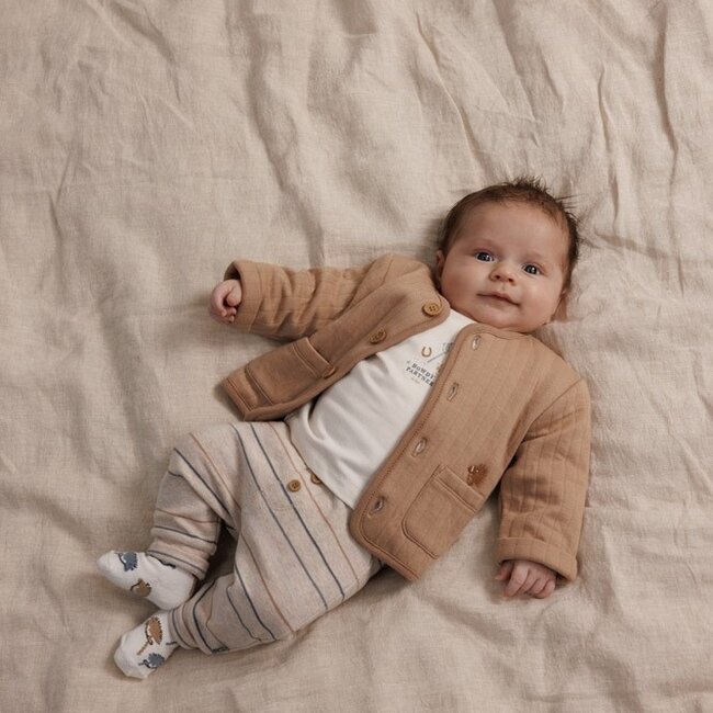 Broek Streep Howdy Taupe Melange