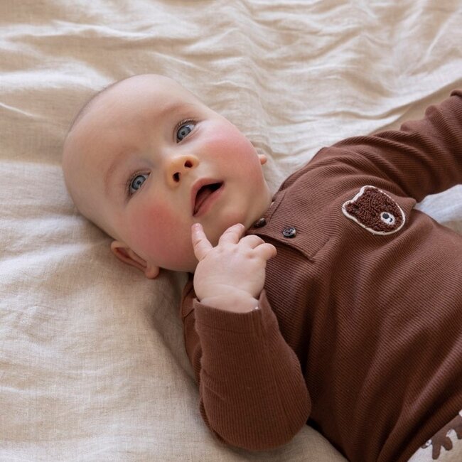 Longsleeve Rib Wild World Bruin