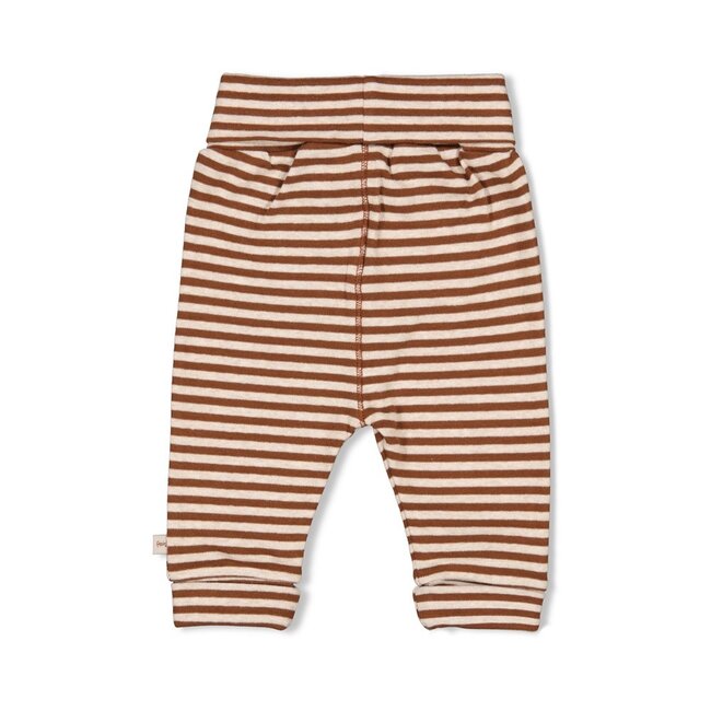 Broek Streep Wild World Bruin