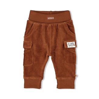 Feetje Broek Velours Rib Wild World Bruin
