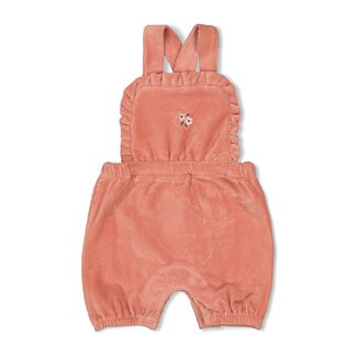 Feetje Tuinbroek Kort Velours Rib Woodland Bloom Mauve