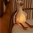 Hartslagknuffel Gans