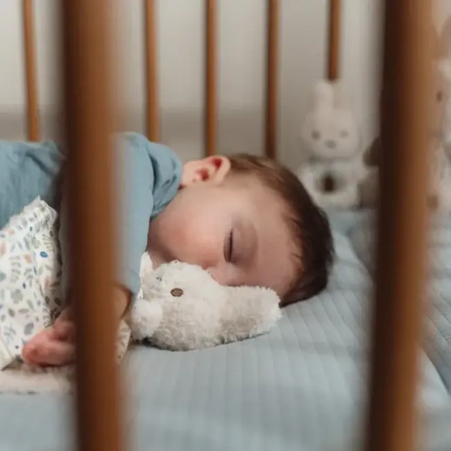 Nijntje Giftset Lucky Leaves