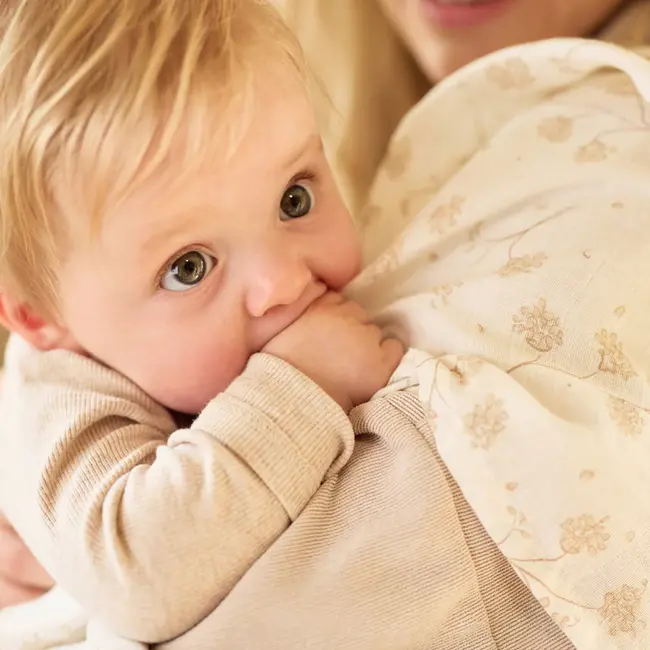 Hydrofiele Doek Large 115X115Cm Leafy Dreams (2Pack)