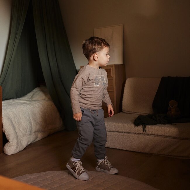 Longsleeve Safari Friends Faded Brown