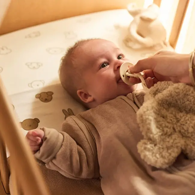 Speendoekje Elephant Tales