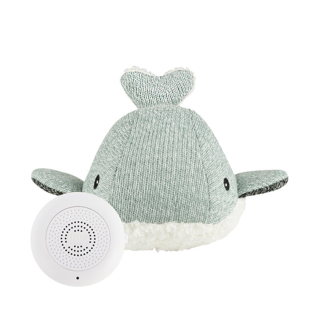 Hartslagknuffel Moby Green