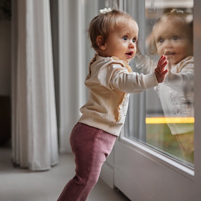 Broek Flared Amour Mauve